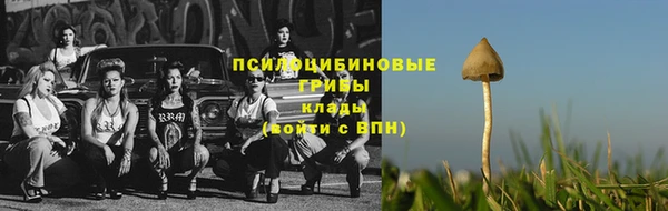 герыч Володарск