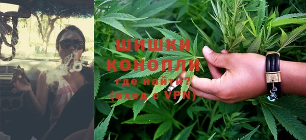 мдпв Вязьма