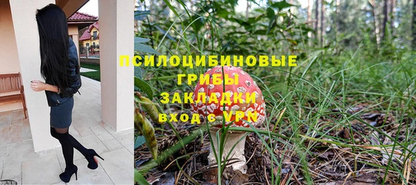 стаф Горнозаводск