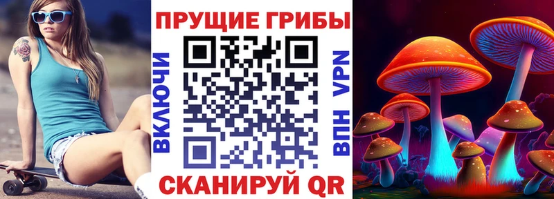 Псилоцибиновые грибы MAGIC MUSHROOMS  Заводоуковск 